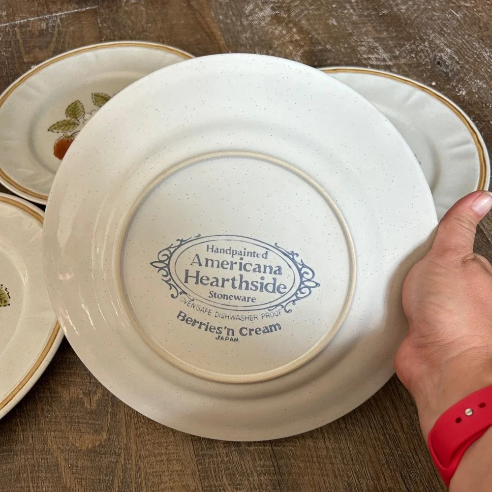 Americana Hearthside Berries n Cream Dinner Plates Set of 4 Stoneware Japan 10.5